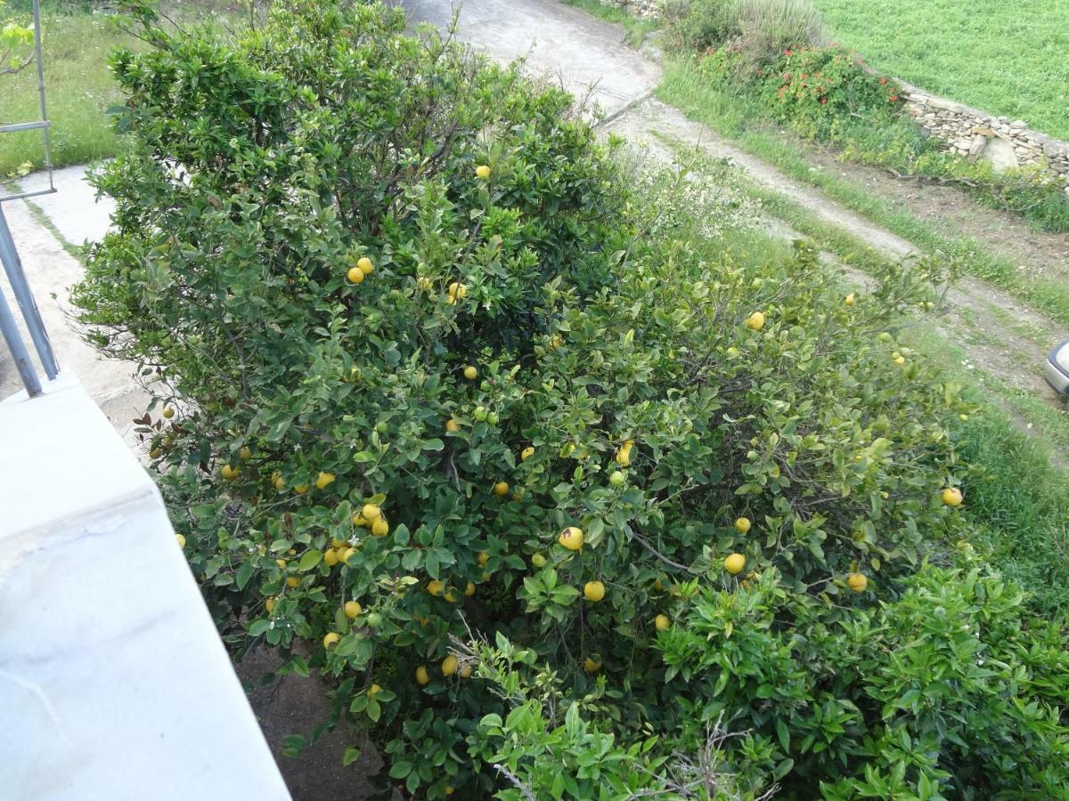 House In The Grass Land. Villa Ormos  Exterior foto